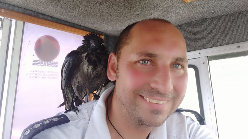 Policjant z Turawy uratował tonącego ptaka.