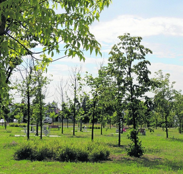 Tak obecnie wygląda park na osiedlu bielawy położony naprzeciwko kościoła Matki Bożej Nieustającej Pomocy