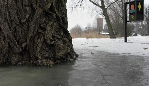 Woda wdarła się już na Półwysep Rzępowski w Kruszwicy. Na razie skuta jest lodem i ukryta pod cienką warstwą śniegu.
