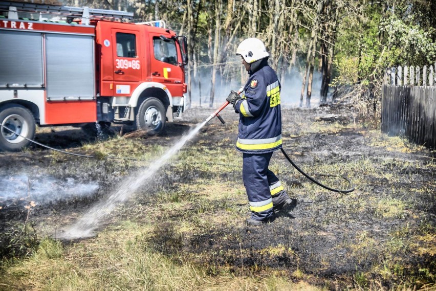 Nie ma dnia, żeby strażacy nie wyjeżdżali do pożarów traw i...