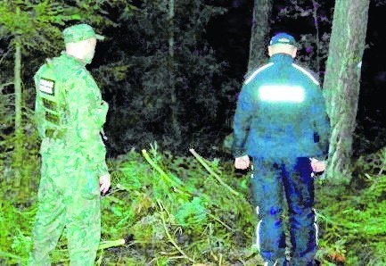 Strażnicy leśni wraz z policjantami i pracownikami nadleśnictw zwracali szczególną uwagę na kradzieże stroiszu jodłowego.