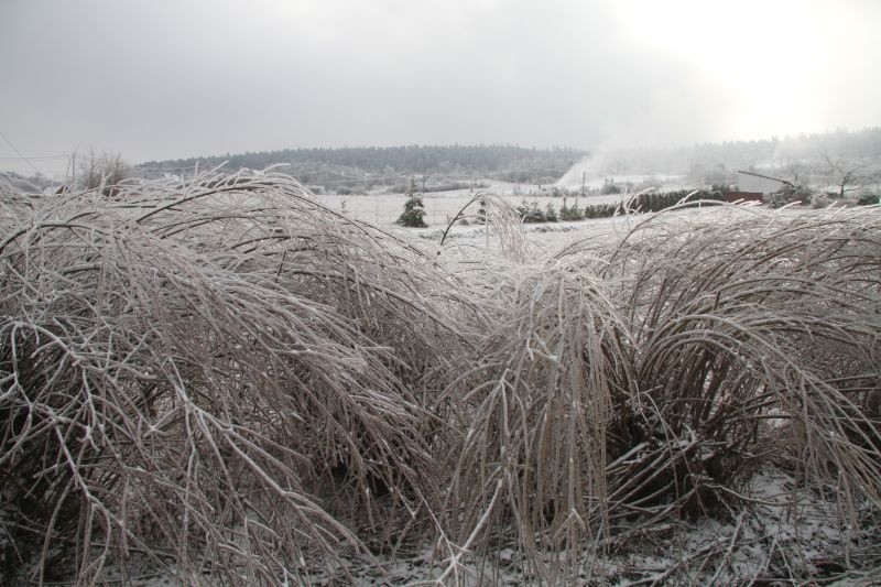 Gmina Bodzentyn skuta lodem