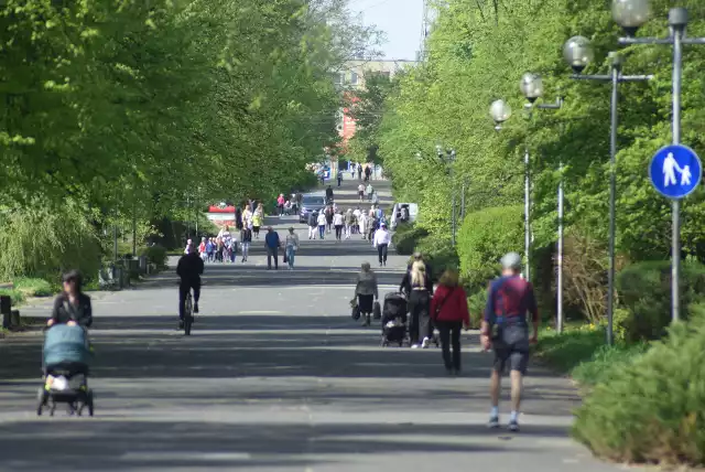 Wiosna rozgościła się na dobre na na Promenadzie Czesława Niemena w Częstochowie