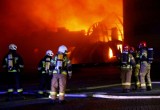 Nocny pożar kurnika w pow. lipnowskim. Z budynkiem spłonęło 15 tys. kaczek!