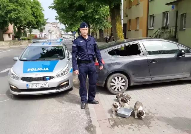 Psy zamknięte w samochodzie uratowali policjanci ze Skarszew