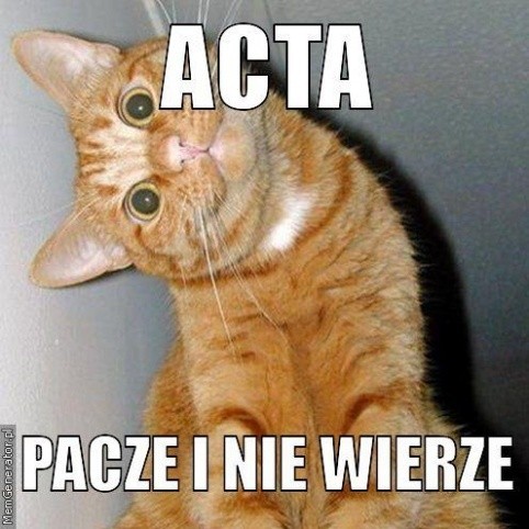 Nawet koty dziwią się, że ACTA może wejść w życie.