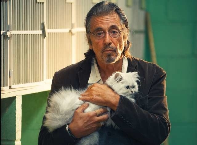 Al Pacino w najnowszym filmie „Manglehorn”