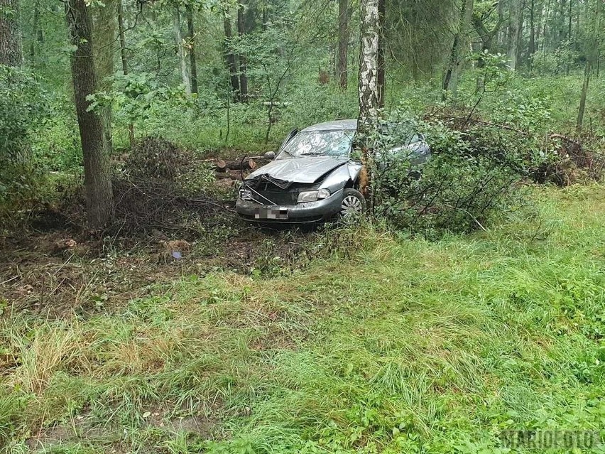 Na DK45 w Jasieniu audi uderzyło w drzewo.
