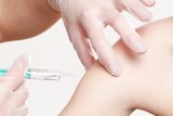 Darmowe szczepienia przeciwko grypie dla seniorów w Żarach. Już dziś warto się zapisać