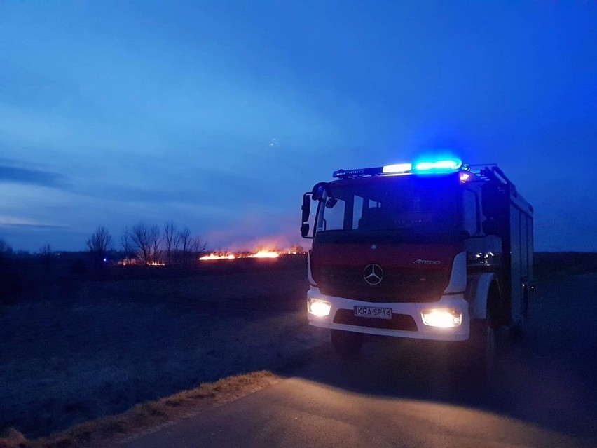 Ogień przy autostradzie. Podpalacze traw grasują w całym powiecie krakowskim