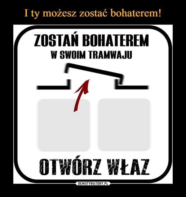 Upał w Polsce dokucza wszystkim. Internauci wzięli sprawy w...