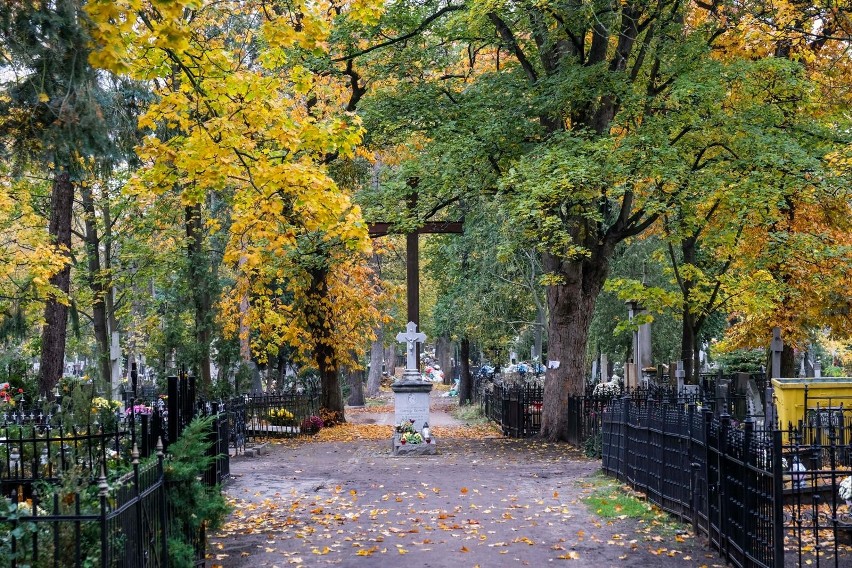 Tradycyjnie 1 listopada na cmentarzu św. Jerzego odbędzie...
