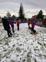 Psi ratownicy z GOPR przeszli pomyślnie egzamin sprawnościowy