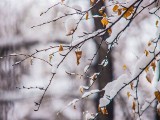 Pogoda na jutro, woj. kujawsko-pomorskie - 10.12.2014. Jutro może spaść pierwszy śnieg tej zimy