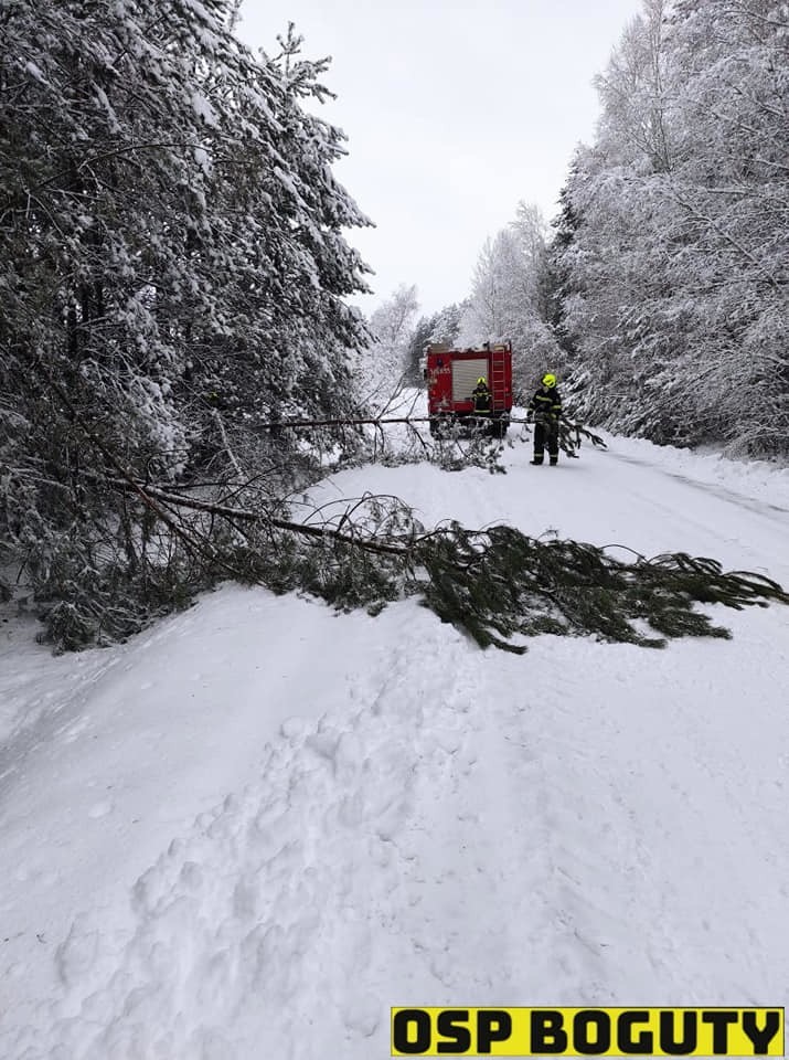 Boguty-Pianki - Nur. Przewrócone drzewa na drodze. Śnieg na drodze nie jest jedynym zagrożeniem dla kierowców. 26.01.2021