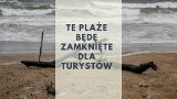 Te plaże nad Bałtykiem będą czasowo zamknięte latem 2019. Na brzegiem morza pojawią się maszyny. Zobacz harmonogram prac