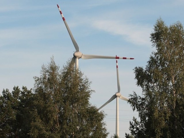 Mieszkańcy osiedla Bierkowo twierdzą, że siłownie wiatrowe uprzykrzają im życie. 