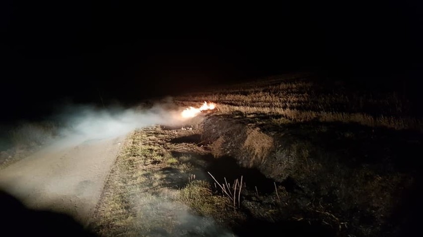 Wypalanie traw. W Ostrołęce i powiecie od 1 marca strażacy gasili takie pożary dziesięć razy!