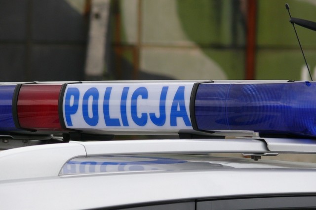 Wodzisławscy policjanci zatrzymali dwóch jastrzębian z marihuaną