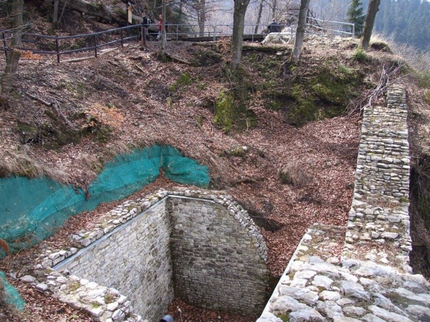 Zamek Pieniny – ruiny zamku położonego w Pieninach...