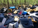 W lasach mniej ludzi, to buszują w nich śmieciarze. Poznańscy strażnicy próbują ich namierzyć. Dzikich wysypisk jest coraz więcej