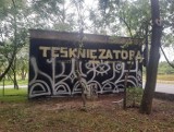 Mural "Tęsknię za Tobą, Żydzie" w Szczecinie zniszczony. Jest zbiórka