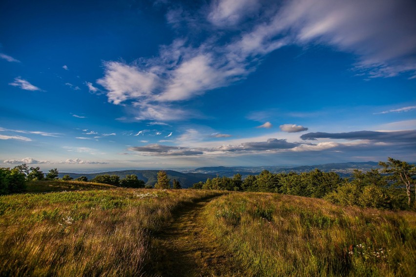 Odkryj Beskid Wyspowy. Tour Mszana Dolna to sprawdzian wytrzymałości i charakteru