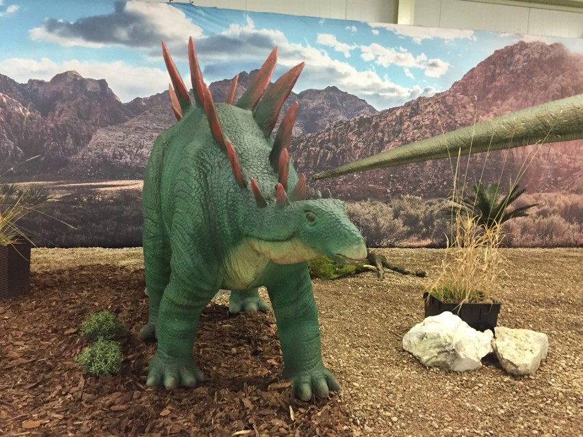 Interaktywne dinozaury w Galerii Handlowej Feniks w Radomiu. Masa atrakcji dla dzieci!