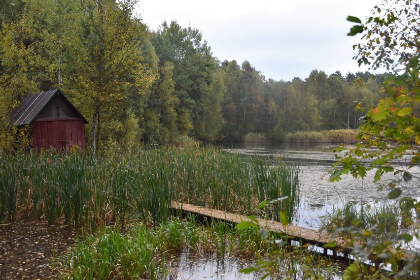 Mieszkańcy Palowic bronią swojego urokliwego zakątka