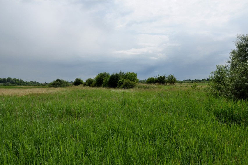 Obszar Natura 2000 zachwyca pięknem