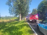 Zderzenie dwóch aut na DK11 w Wielkopolsce. Cztery osoby, w tym dziecko, trafiły do szpitala