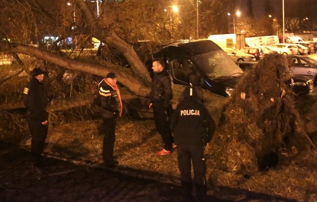 Orkan nad SzczecinemW godzinach wieczornych i nocnych podmuchy wiatru łamały drzewa. Strażacy mieli pełne ręce roboty. Prawie 100 tys. ludzi w całym regionie było bez prądu.