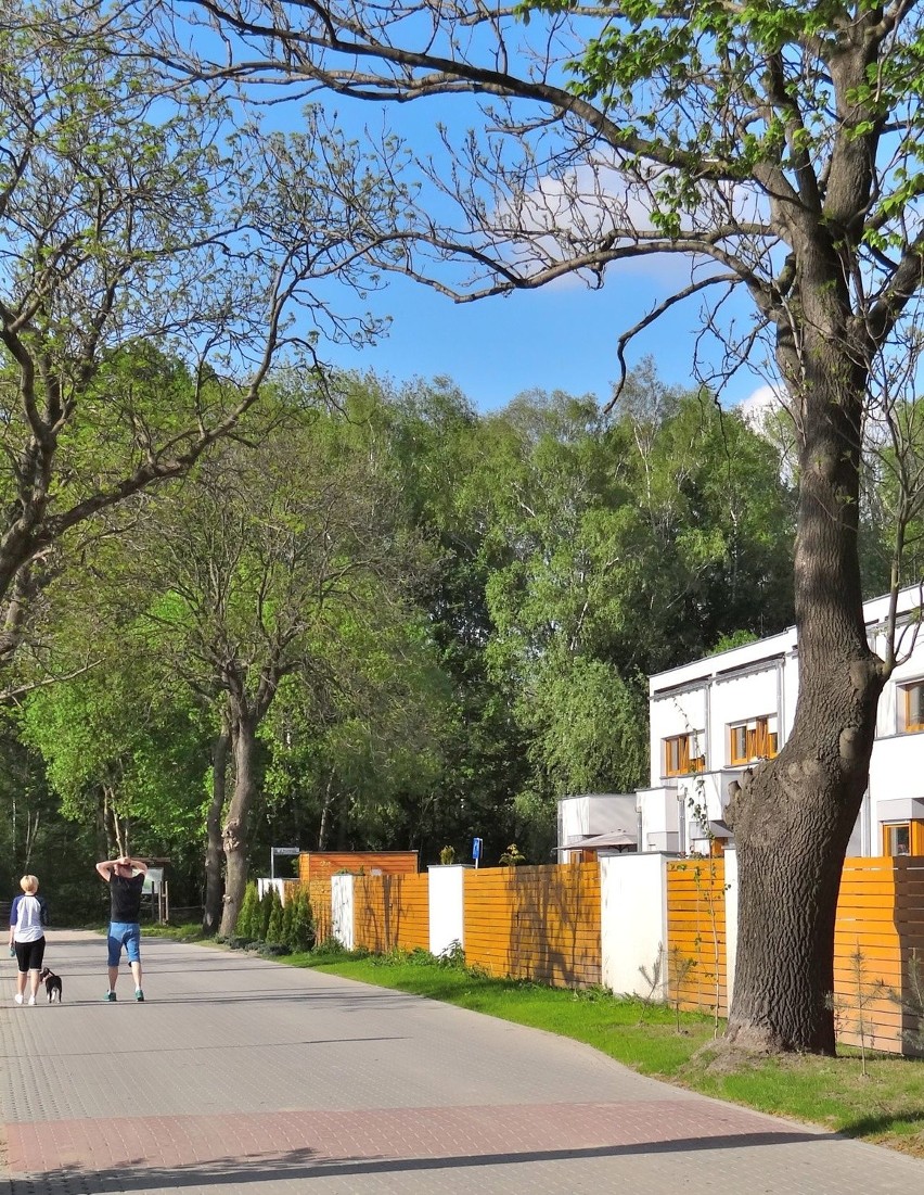 Z Dąbrówki do Poznania i w Polskę