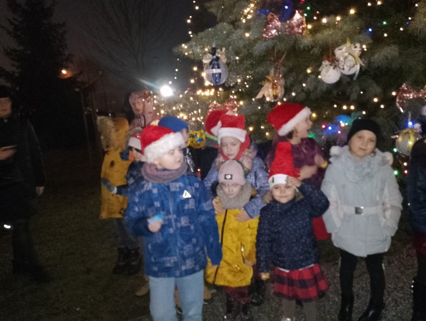 Choinka w Stąporkowie już rozbłysła. Ubrali ją mieszkańcy i Święty Mikołaj. Zobacz zdjęcia