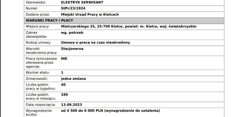 Oto najnowsze oferty pracy w Kielcach. Gdzie rekrutują? Ile można zarobić? 