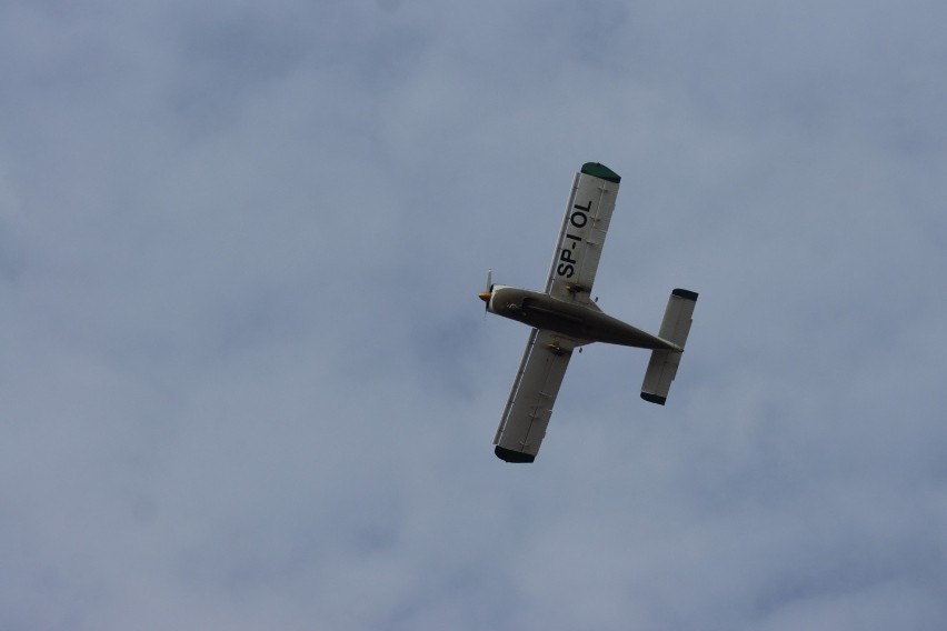 Samolot latał zbyt nisko nad Kaliszem. Jego pilot złamał prawo? [ZDJĘCIA]