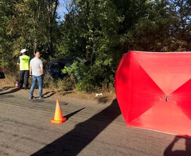 Gniezno: Śmiertelny wypadek w Królewicu. Zginęła kobieta