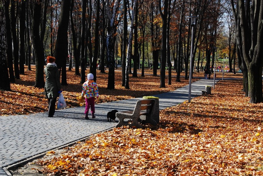 To otwarta w weekend strefa aktywności na os. Warpie.