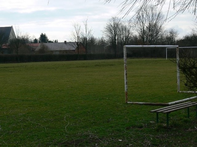 O murawie na wrzawskim stadionie jest głośno od 2011 roku, kiedy to wybrana przez władze gminy firma obsiała murawę boiska w listopadzie a jej wygląd pozostawia wiele do życzenia.