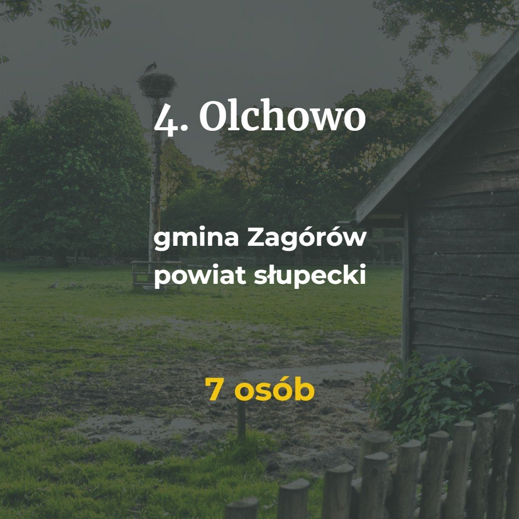 Nic Nie Dzieje Sie Przypadkiem Cytaty