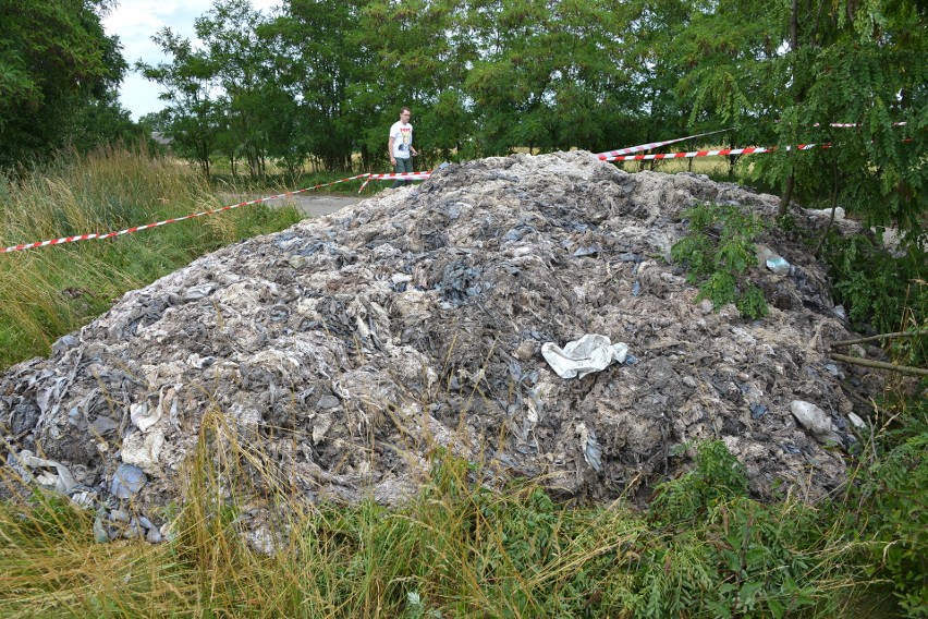 Znów między Kielcami a Ponidziem znaleziono odpady garbarskie. Wyrzucający skóry się uaktywnili