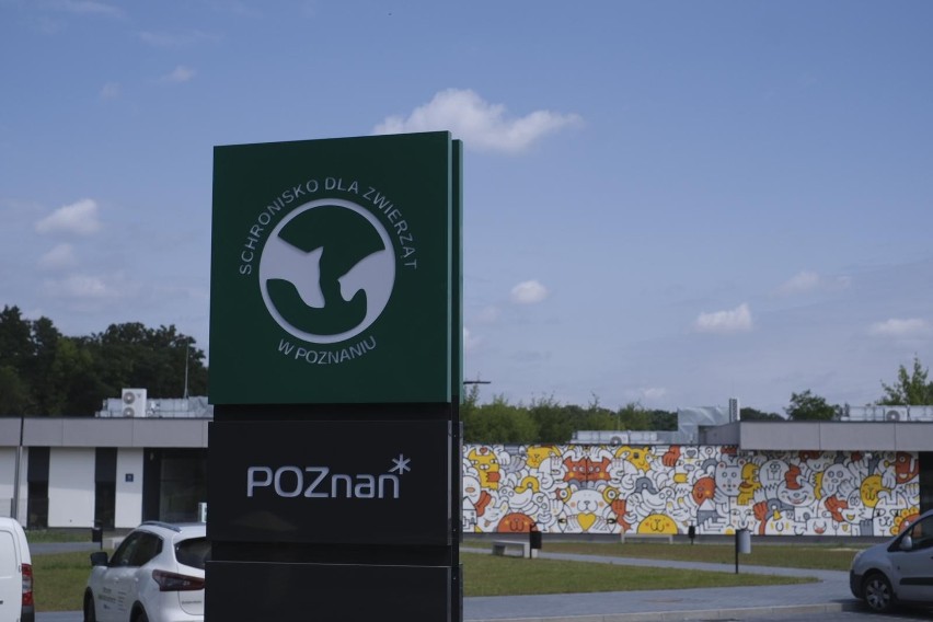 Schronisko dla zwierząt w Poznaniu z nominacją w konkursie Top Inwestycje Komunalne 2021