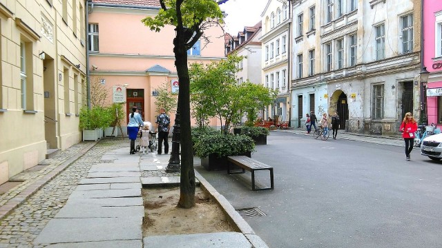 Radni chcą więcej zieleni na Starym Mieście