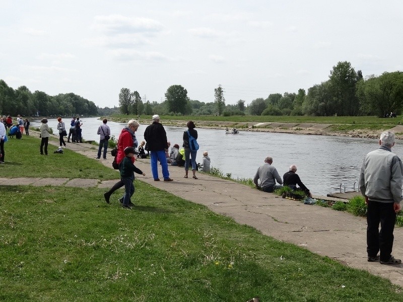 Poznań: Rywalizacja na Warcie i festyn na brzegu [ZDJĘCIA]