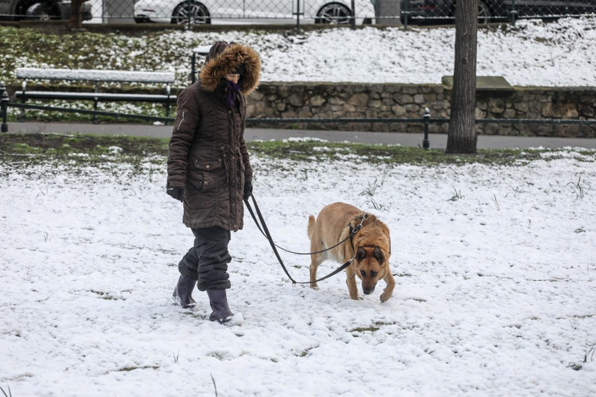 Małopolska i Kraków w śniegu. Zaczęła się kalendarzowa... wiosna