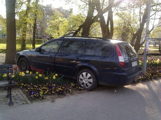 Kierowca zniszczył klomb przy ul. Młyńskiej w Międzyrzeczu.