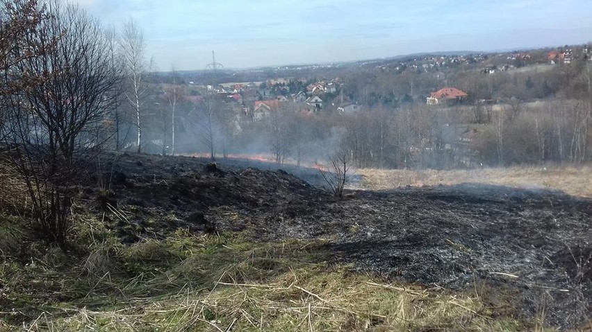 Duży pożar pod Krakowem, w akcji kilkudziesięciu strażaków