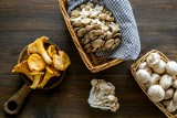 Grzyby jadalne – właściwości odżywcze i lecznicze. Czy popularne grzyby są zdrowe? Korzyści płynące z włączenia grzybów do diety