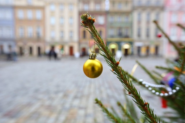 Poznański rynek w 2013 roku.