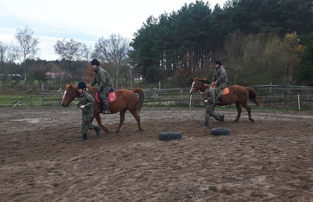 Zwiadowcy z Międzyrzecza uczą sie konnej jazdy.